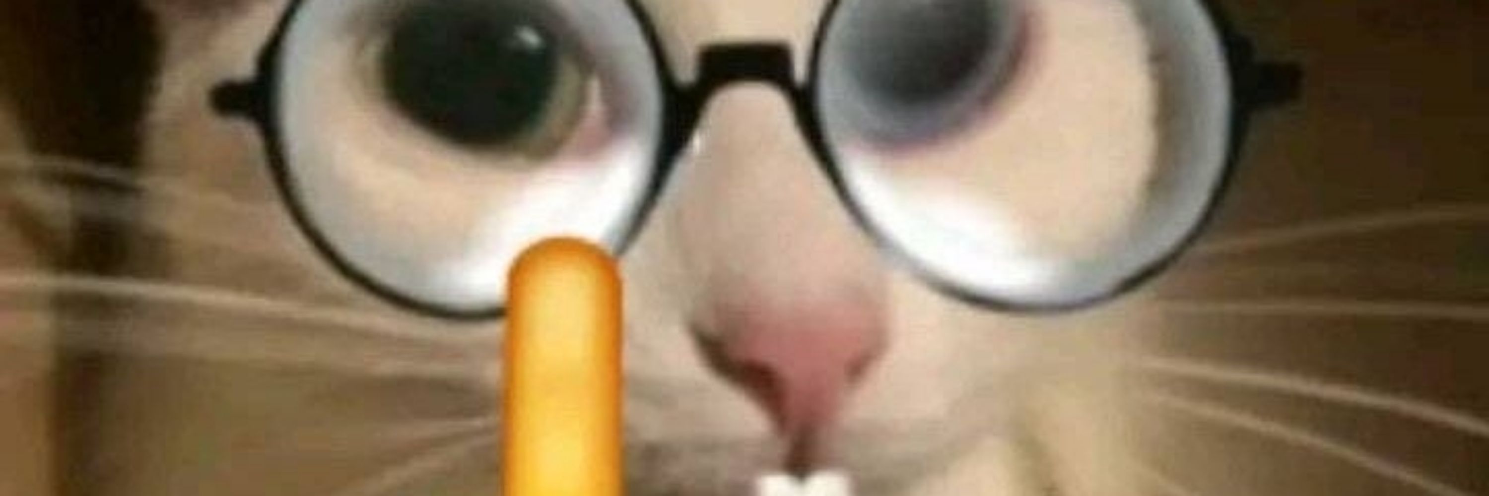 Ca⁷ 🫀