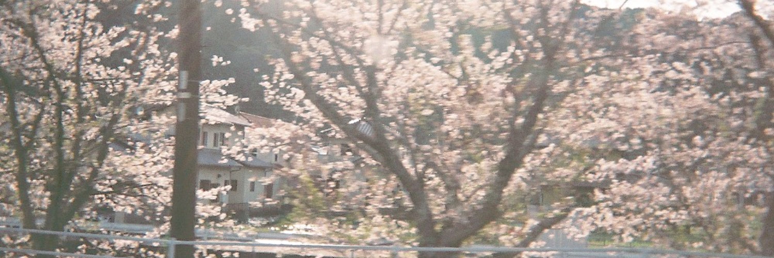 ちな