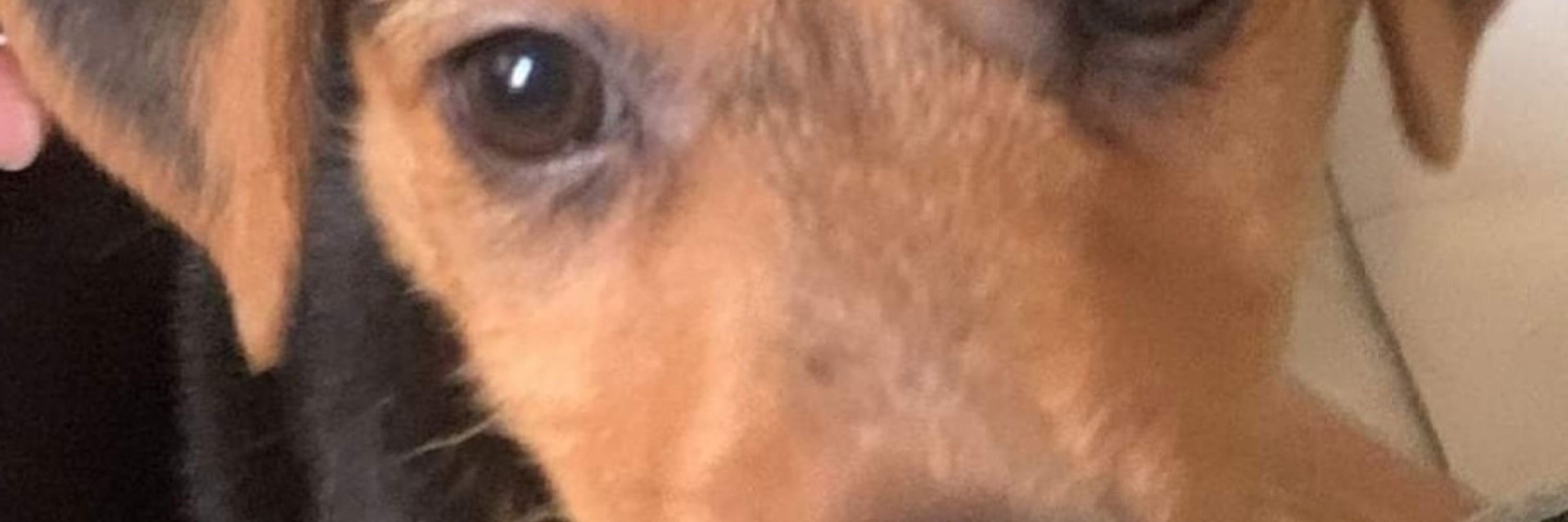 Mar