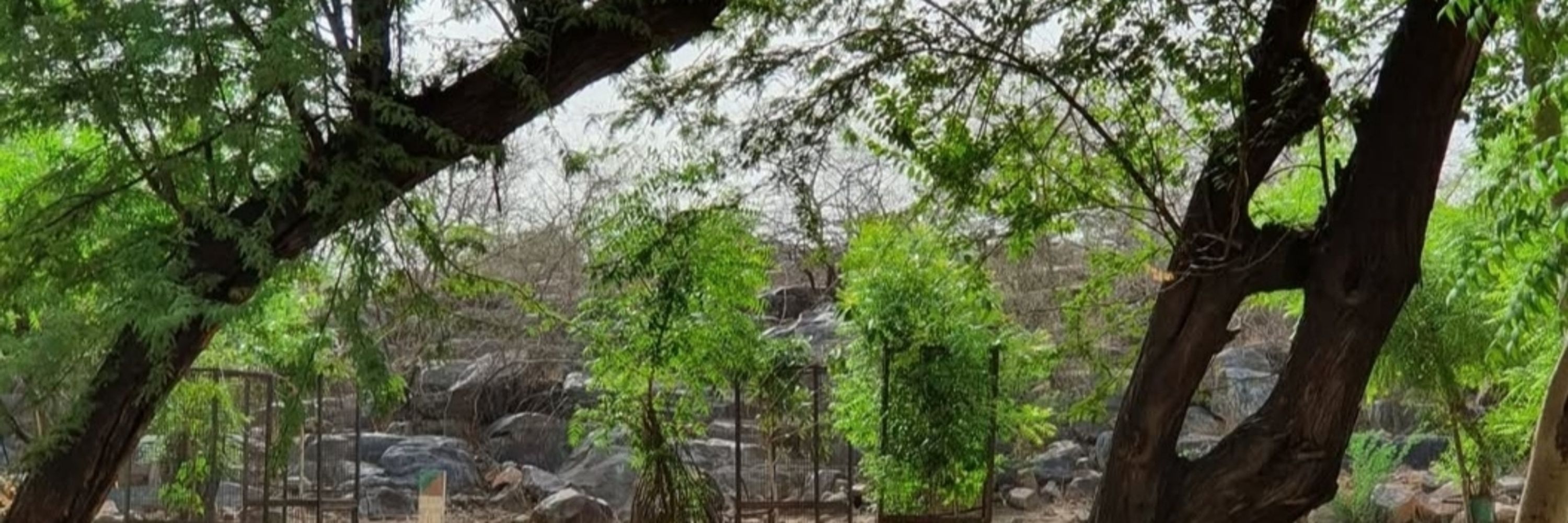 Sunil Kowlesar