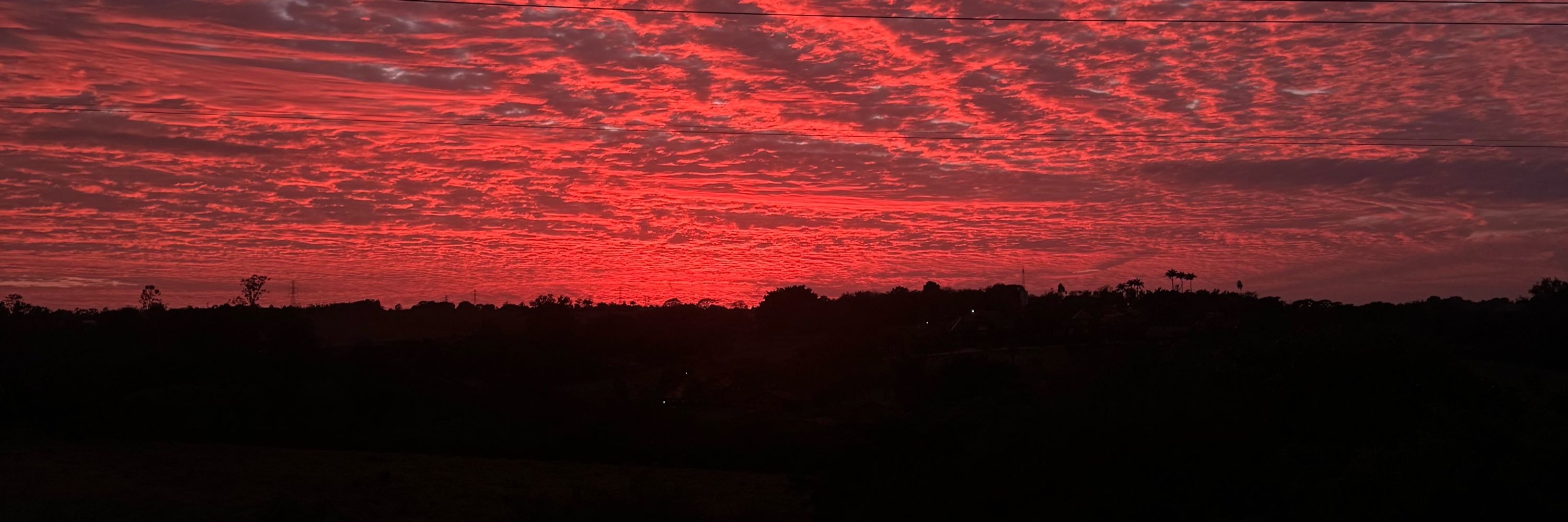 nagesde