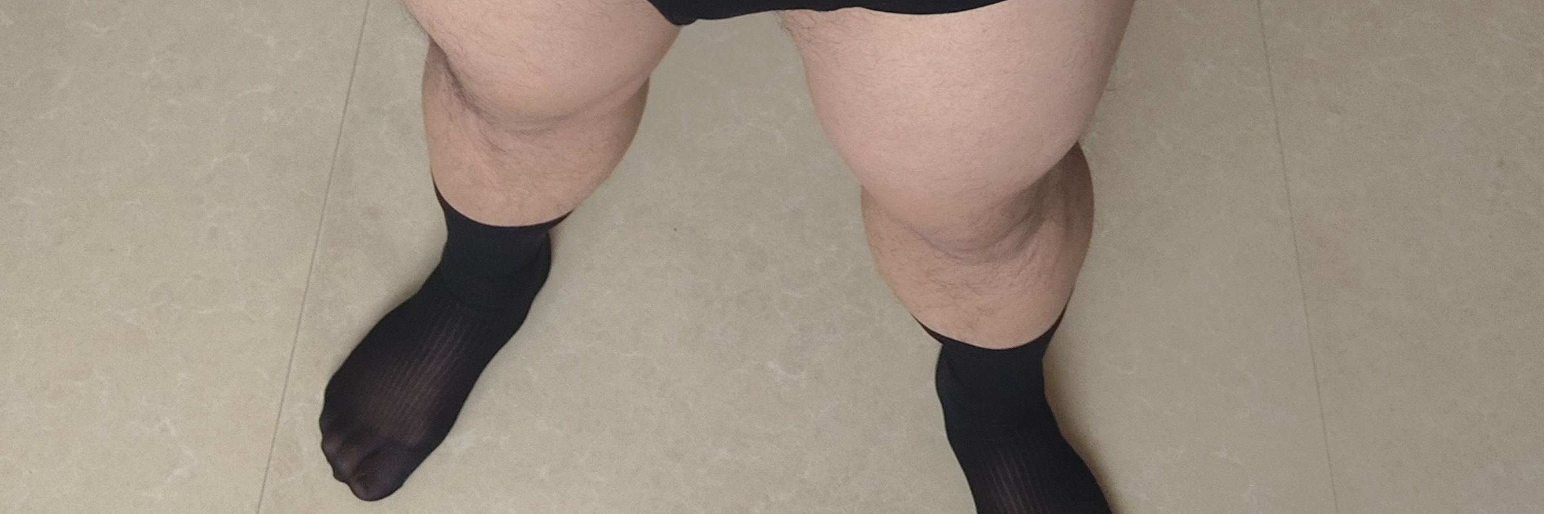 一只熊一