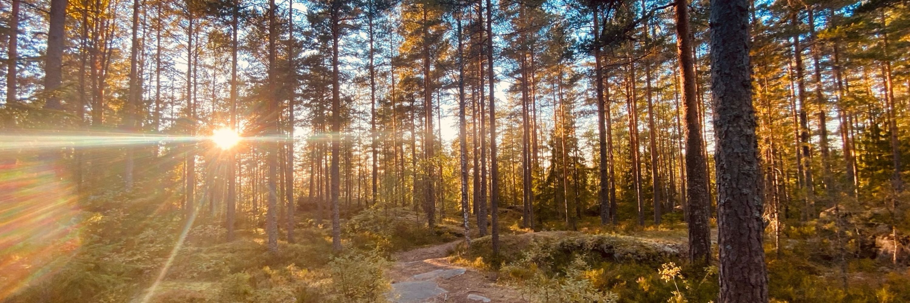 Espen