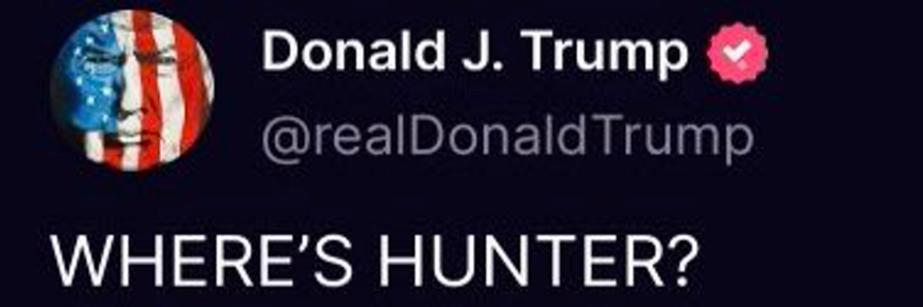 The President of Gooning