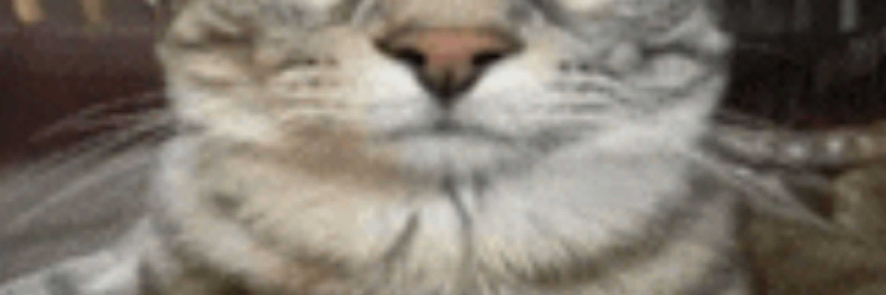  ༉‧₊𝐏𝐞𝐧𝐬𝐚𝐦𝐞𝐧𝐭𝐨𝐬 𝐢𝐧𝐭𝐫𝐮𝐬𝐢𝐯𝐨𝐬˚✧