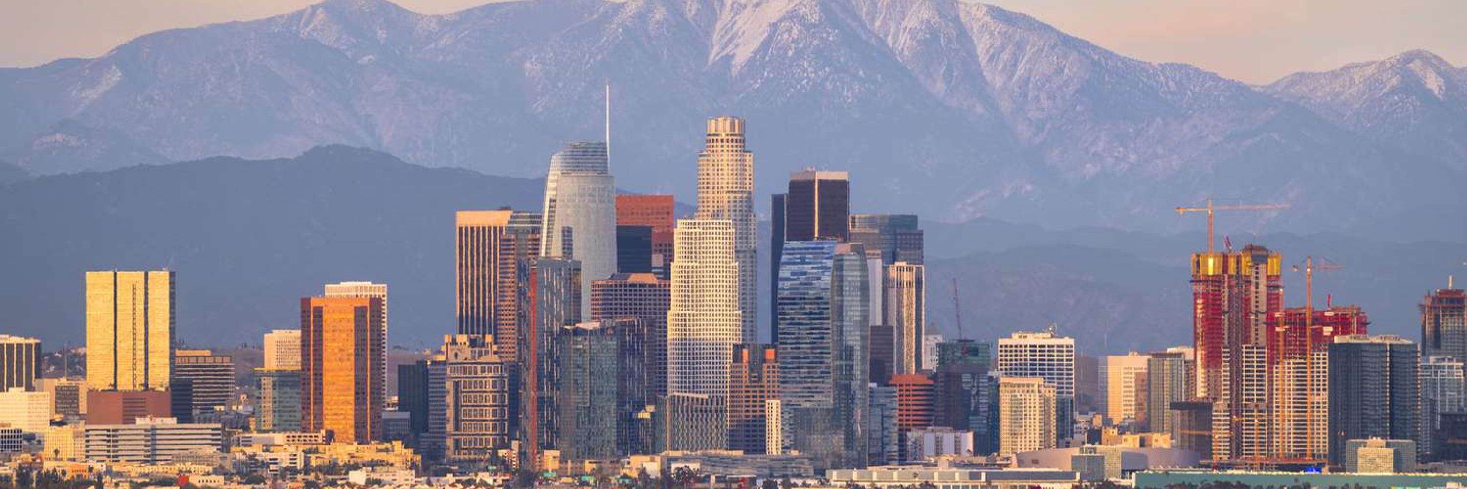 Los Angeles County Democratic Party