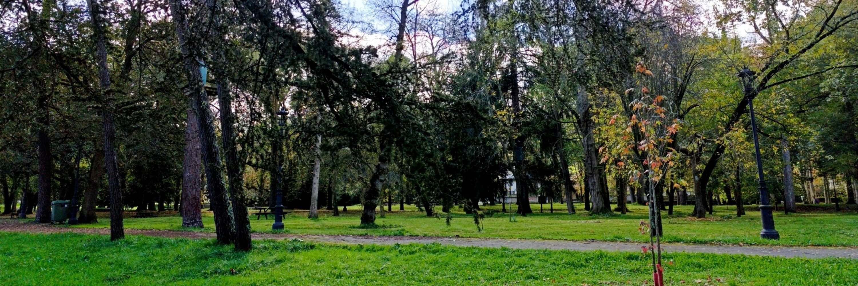Ramon San Martin