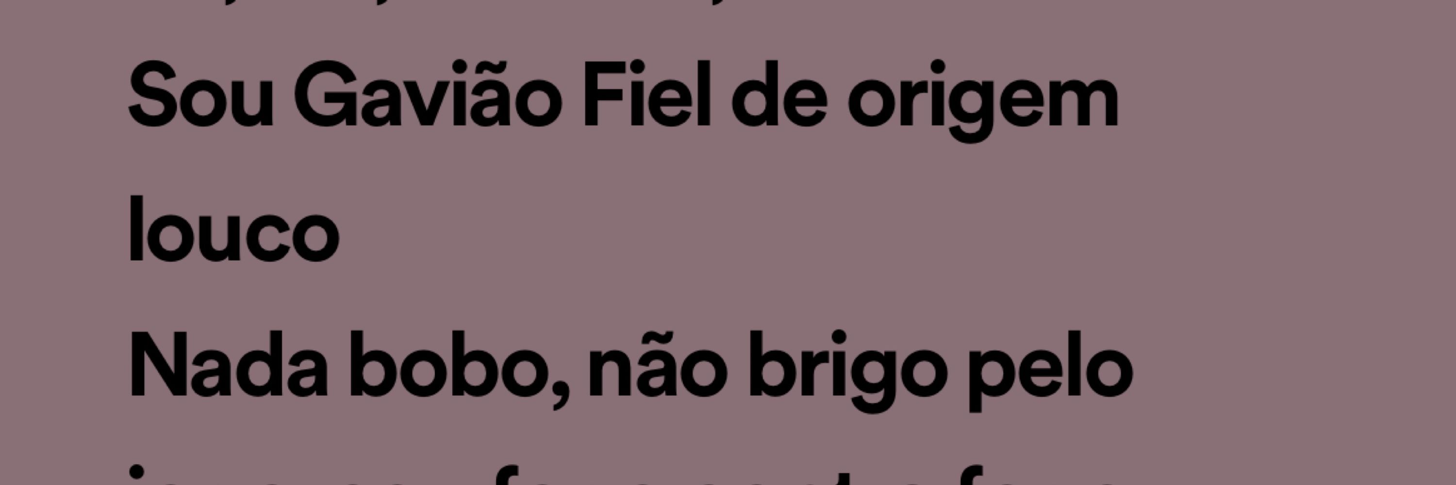 Paulo Guilherme 🦅