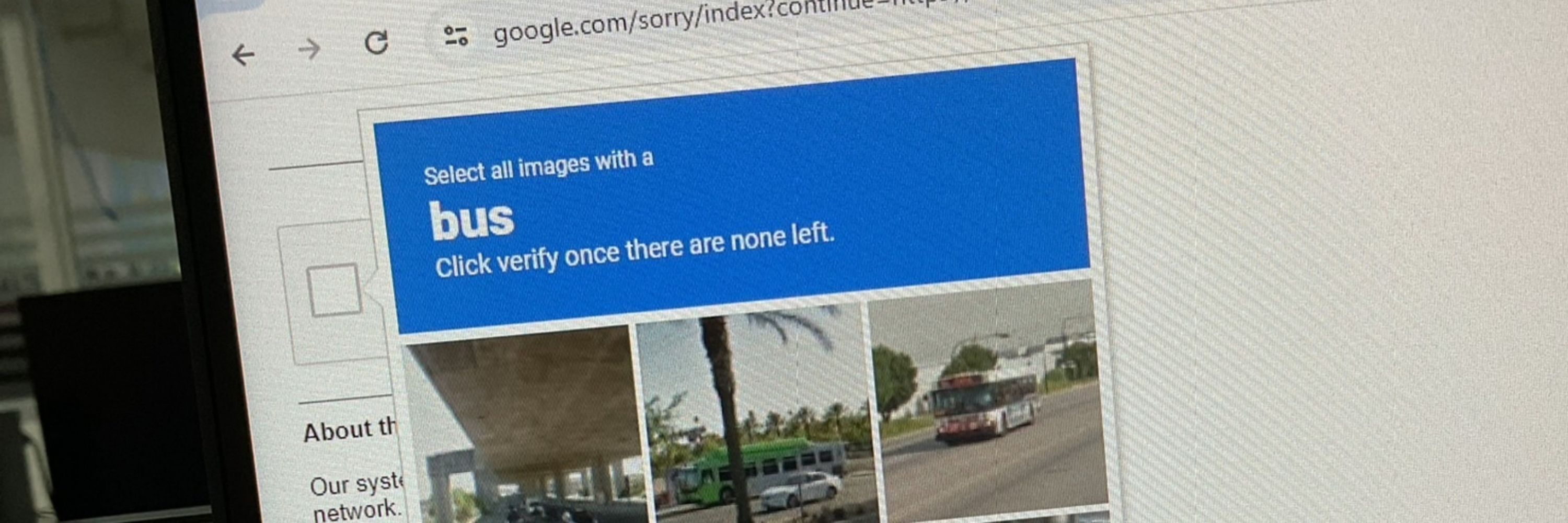 𓇼