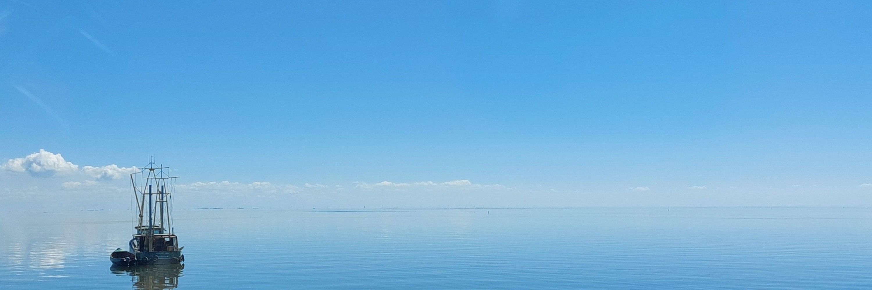 Rivvenderest