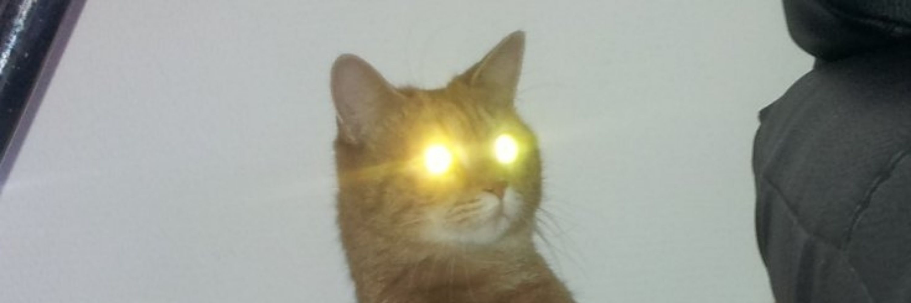CatSith