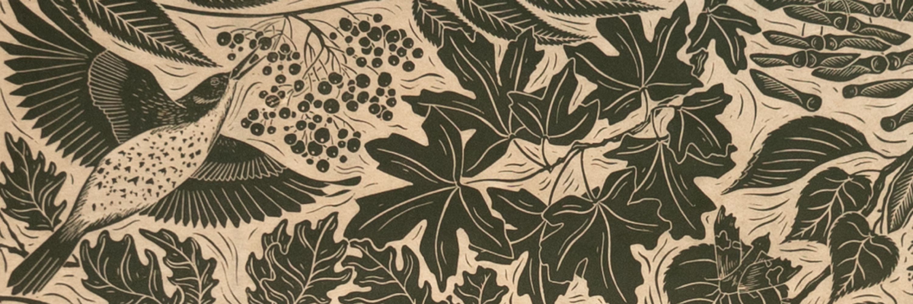 Emma Reith - Printmaker and Illustrator