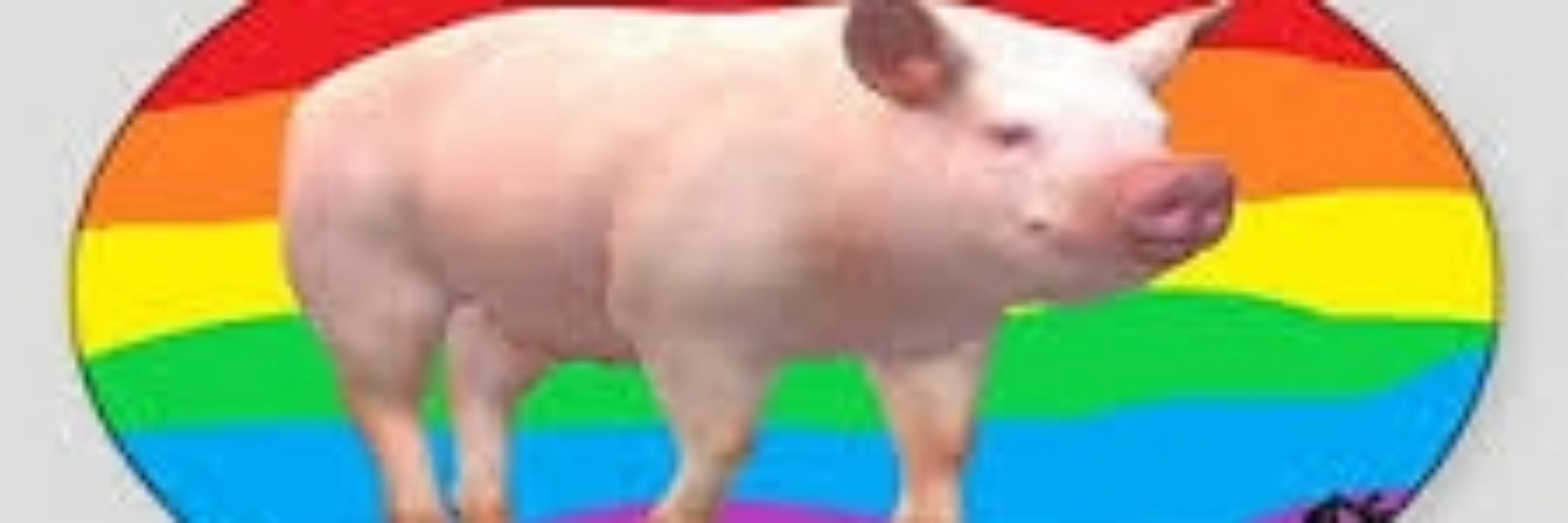 PozSewerPig ☣️🐷😈
