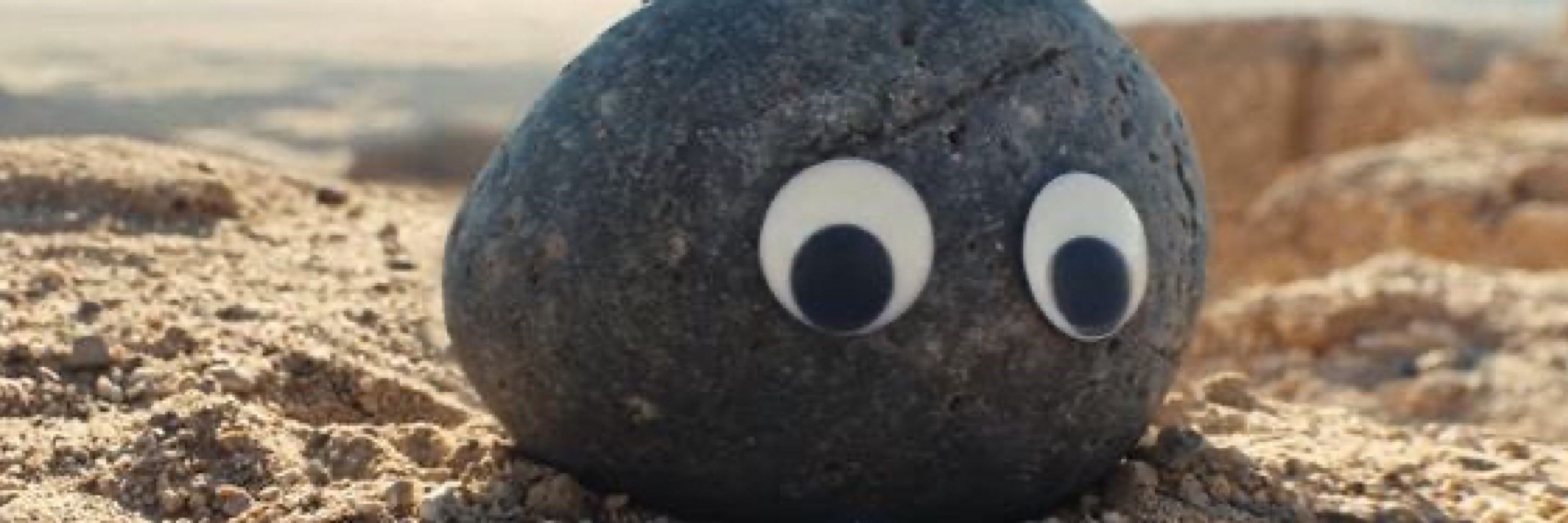 Googly Eyes