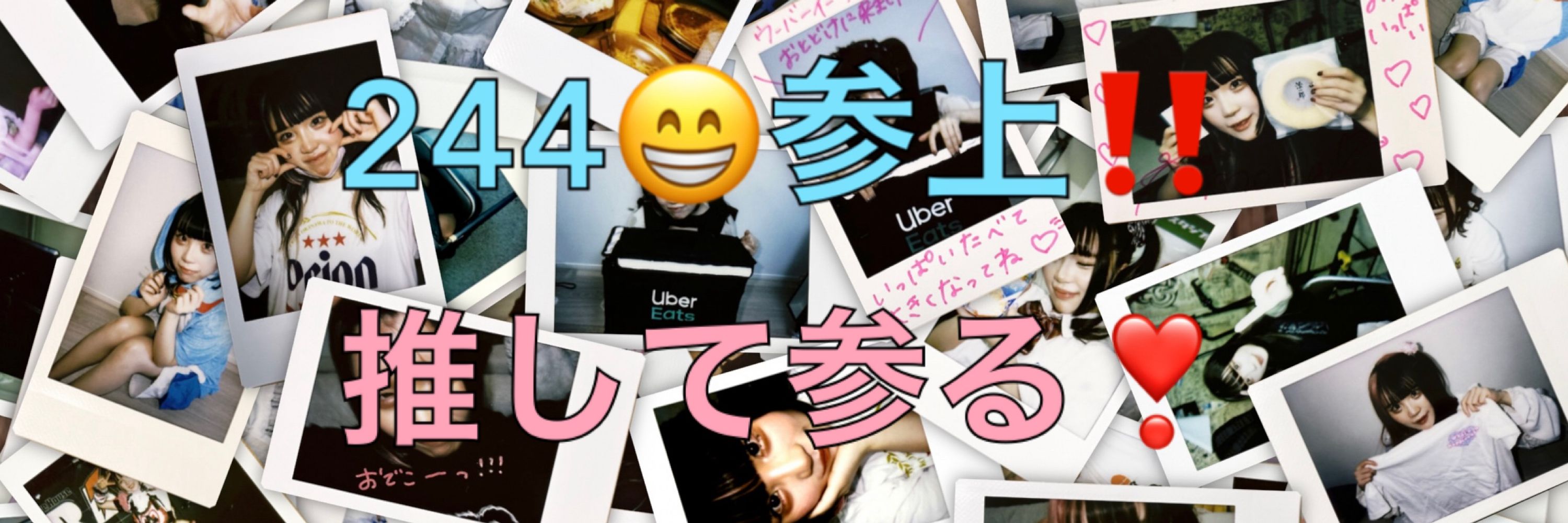 野良244