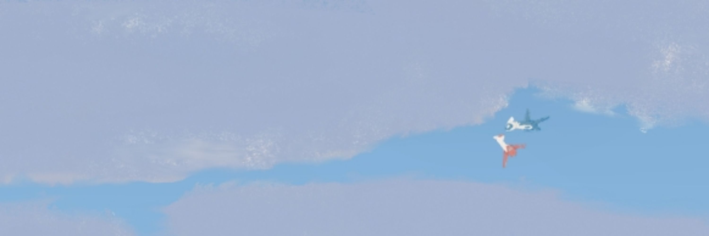 かっこう