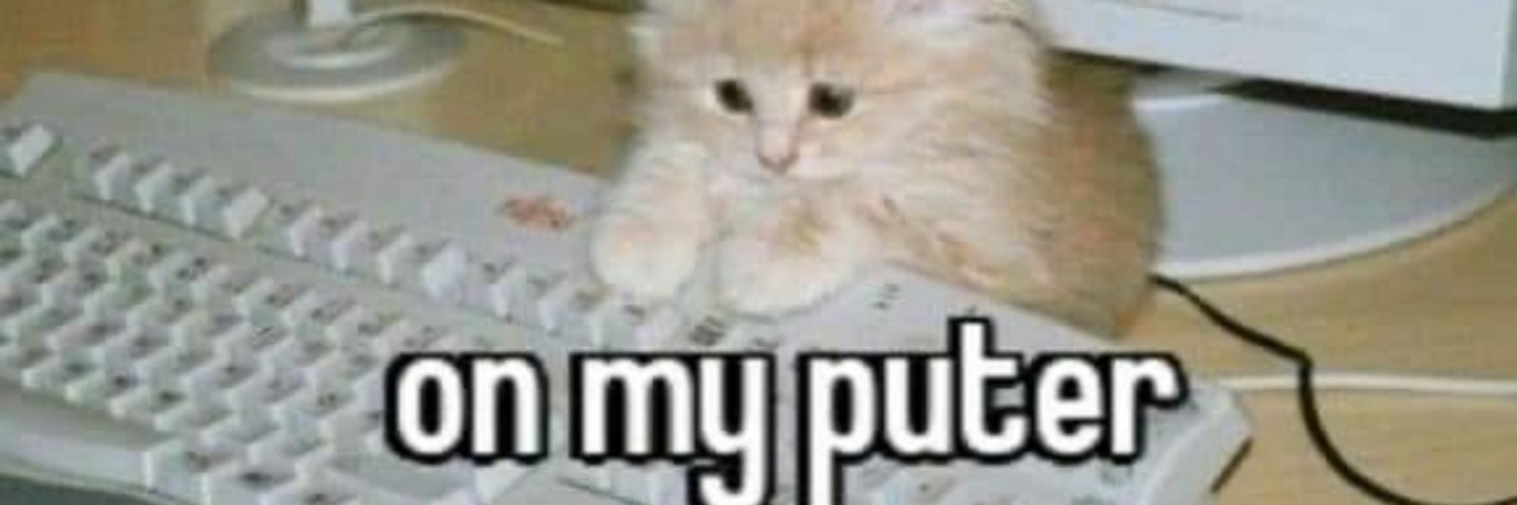 ⚢