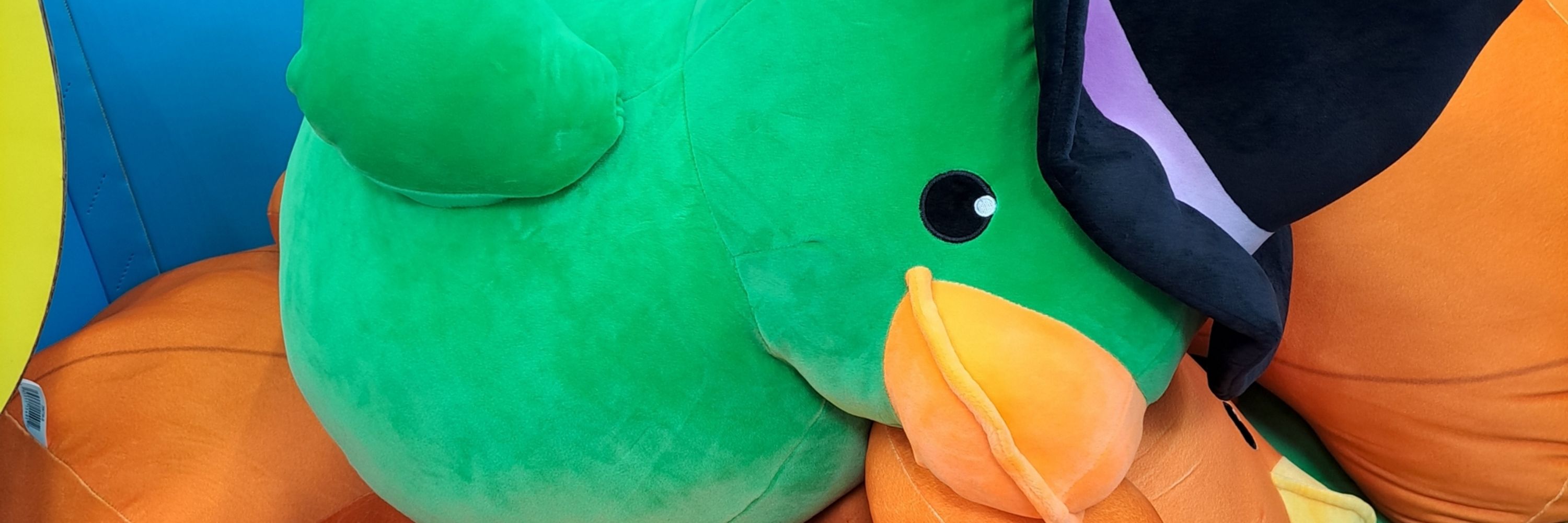 Duck mother