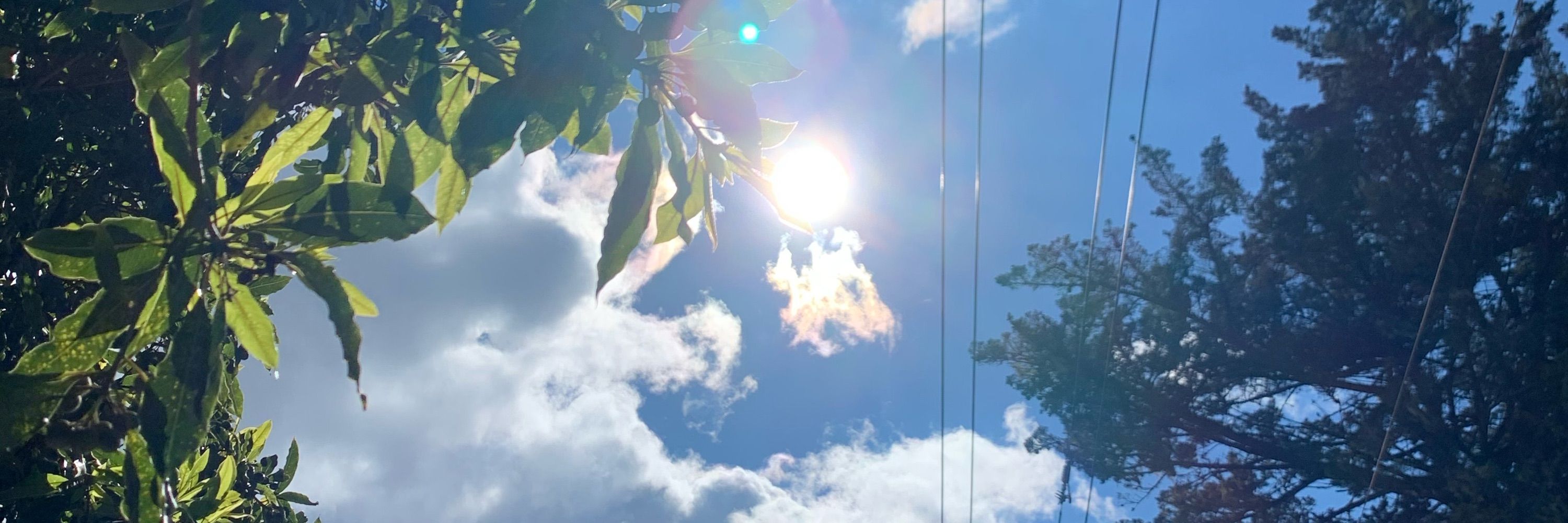 Feelings 🏙️🌤️