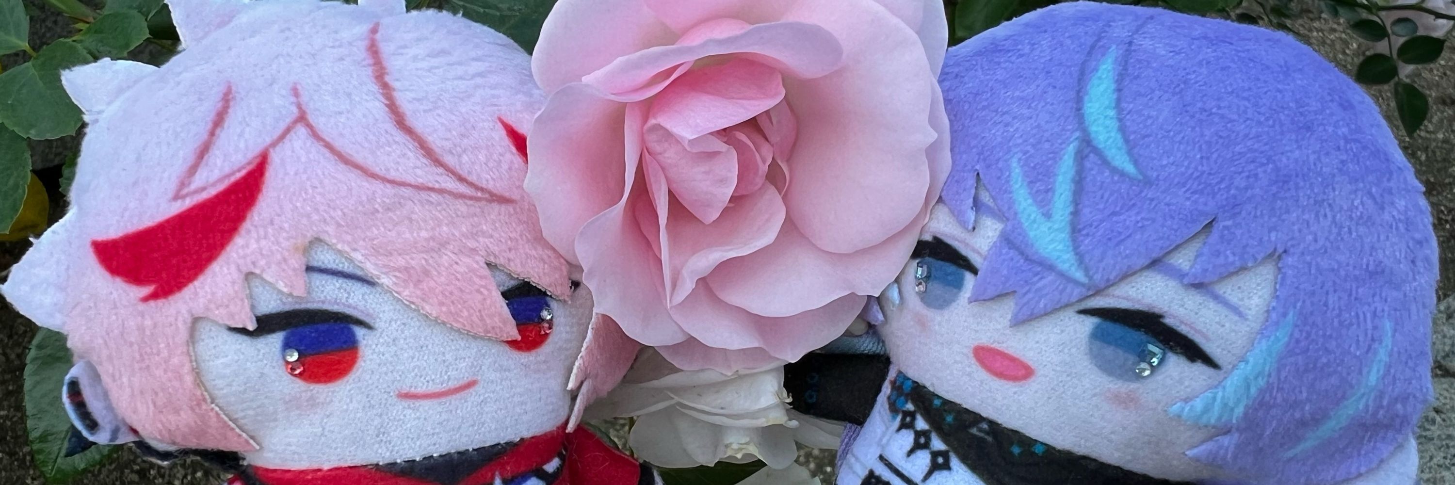 ･あろえ･𝕄♡(･¨ ●)
