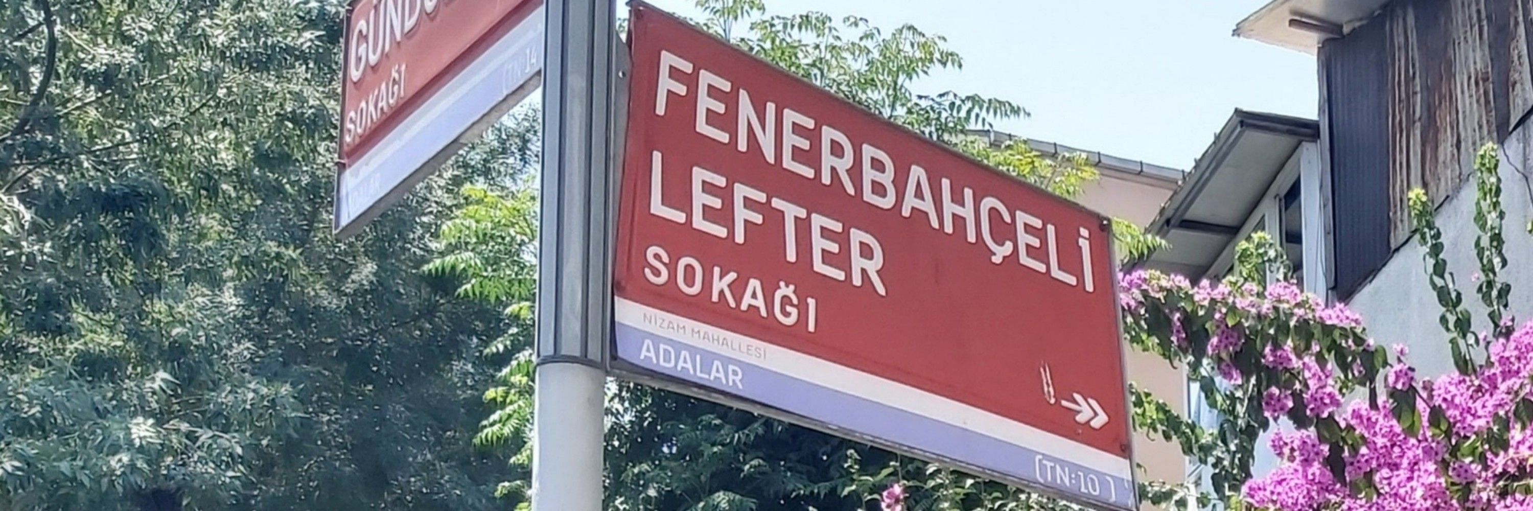 Müjgân