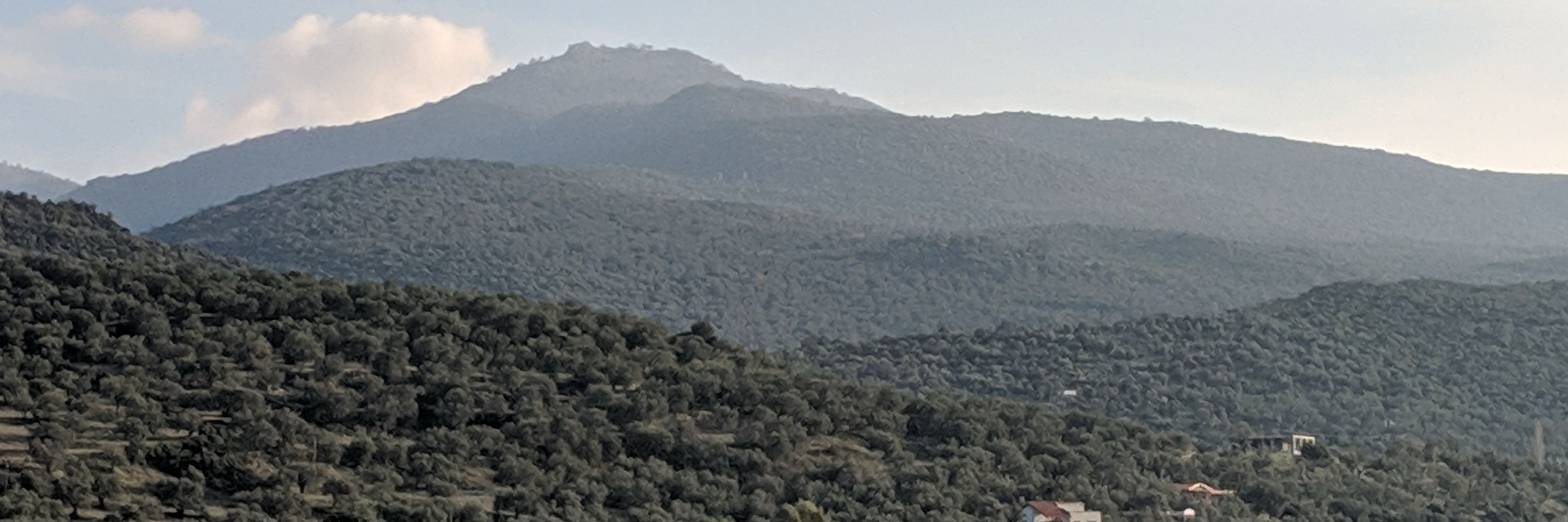 Alp