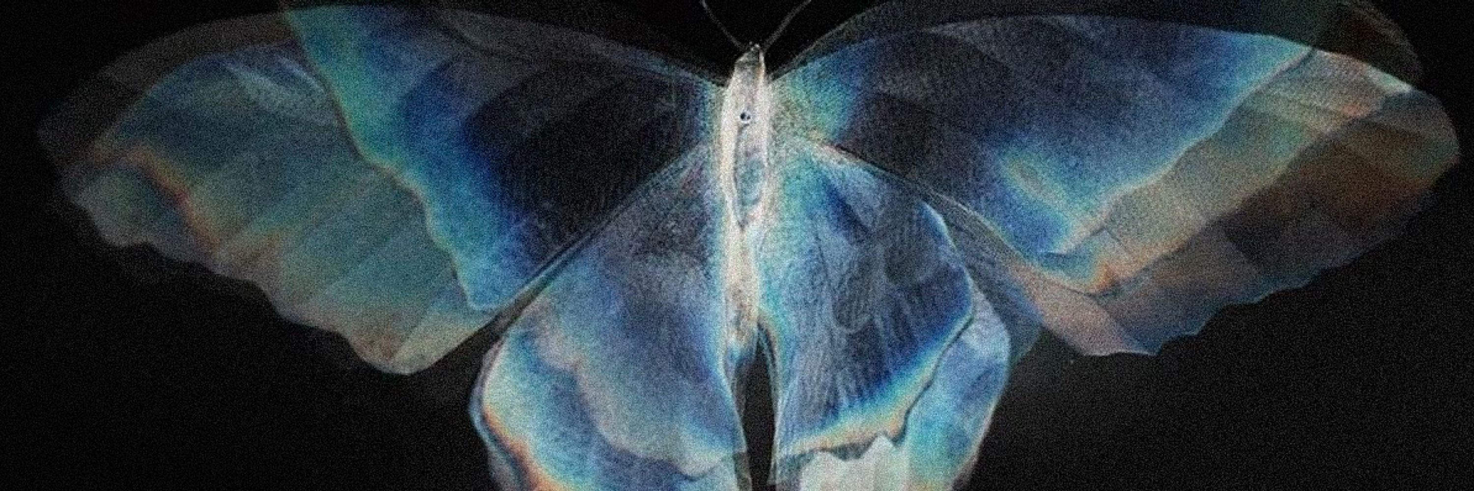 darya. 🫧🦋🧬