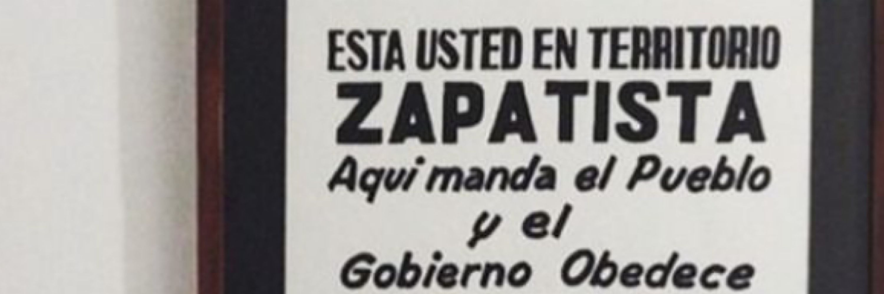 Zeca pagodinha 🚩