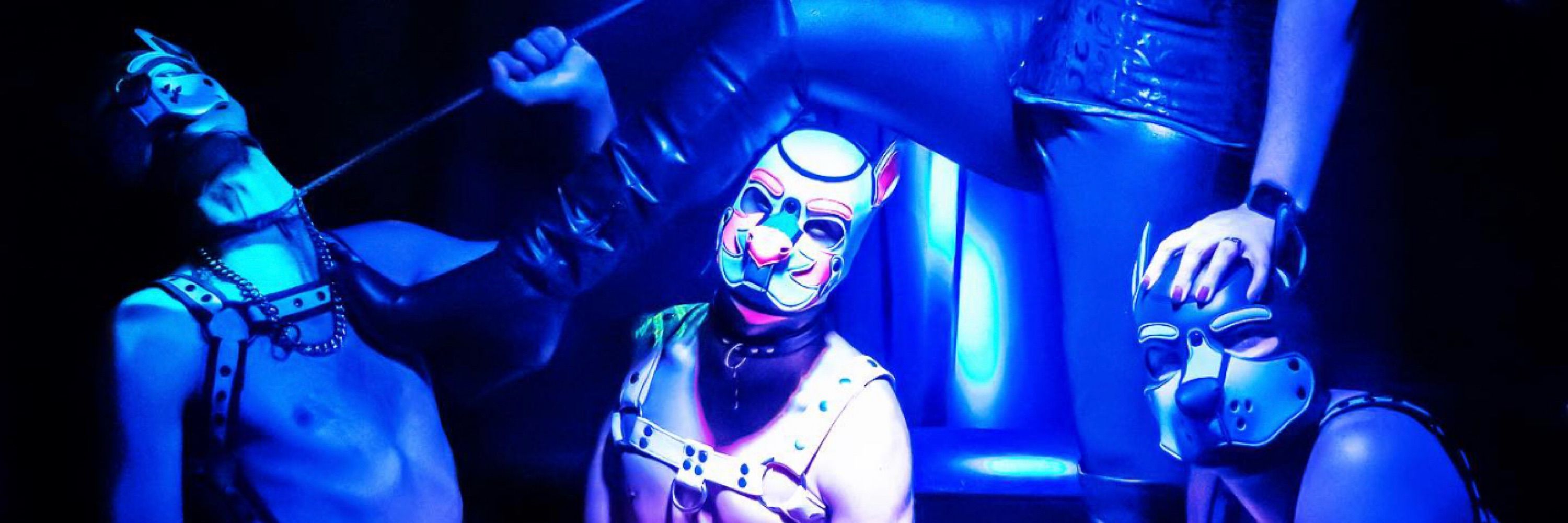 Pup Parzival 🔜 MEGAPLEX