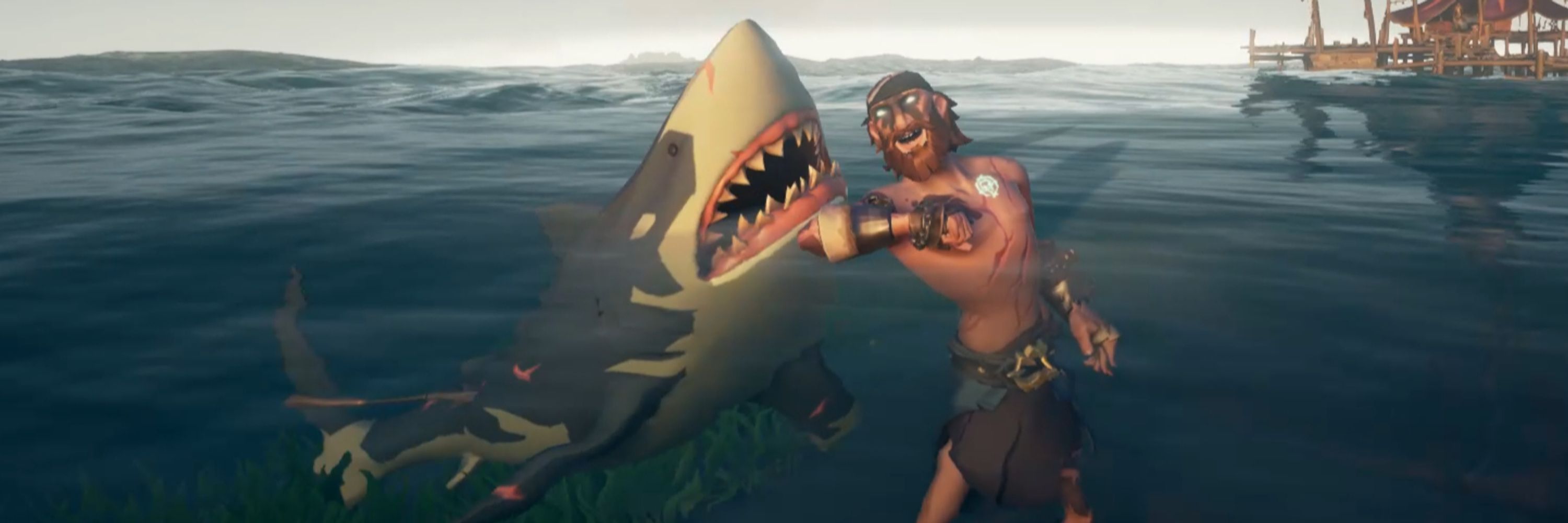 Hull Lariash & Poonie 🦈