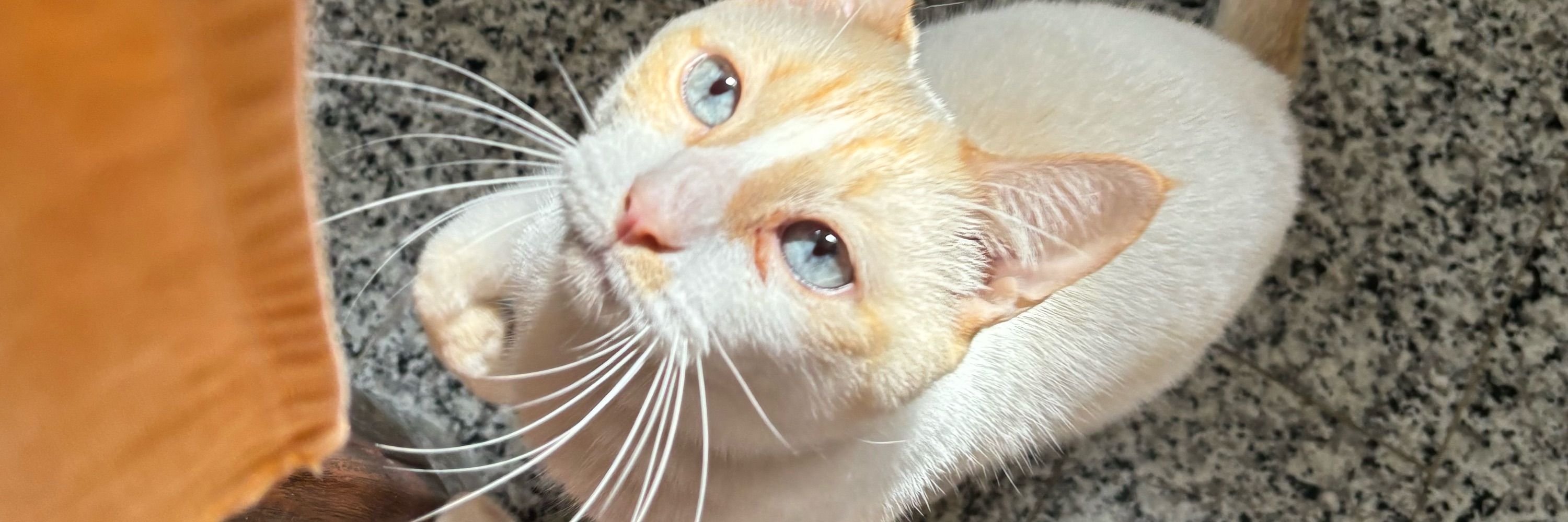 manu