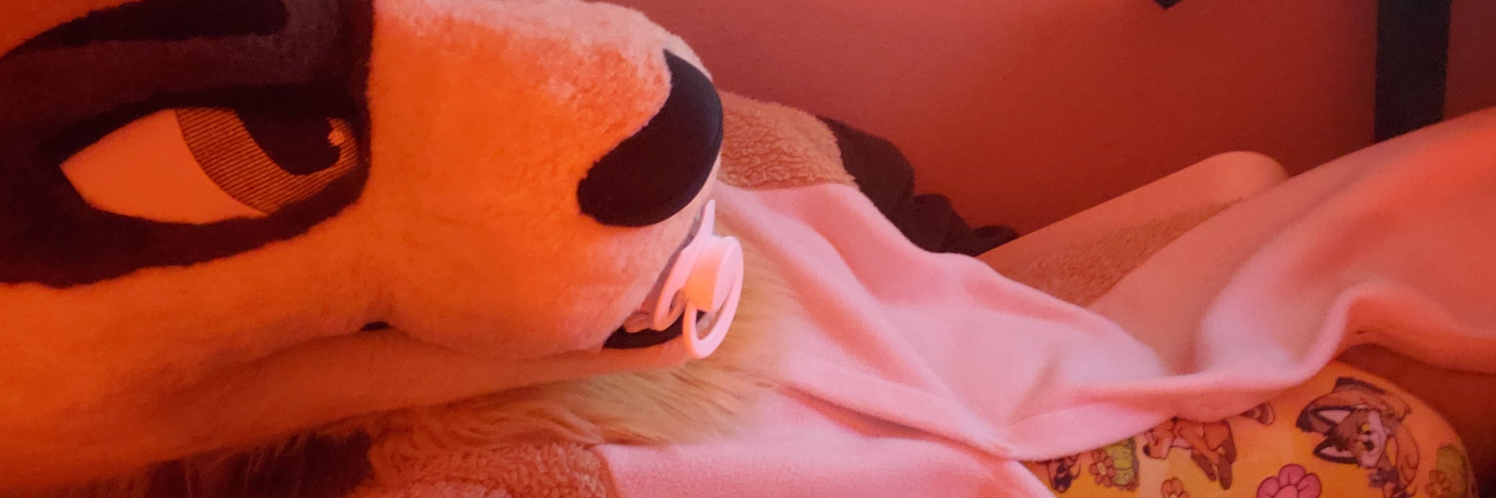 Smol Ferret