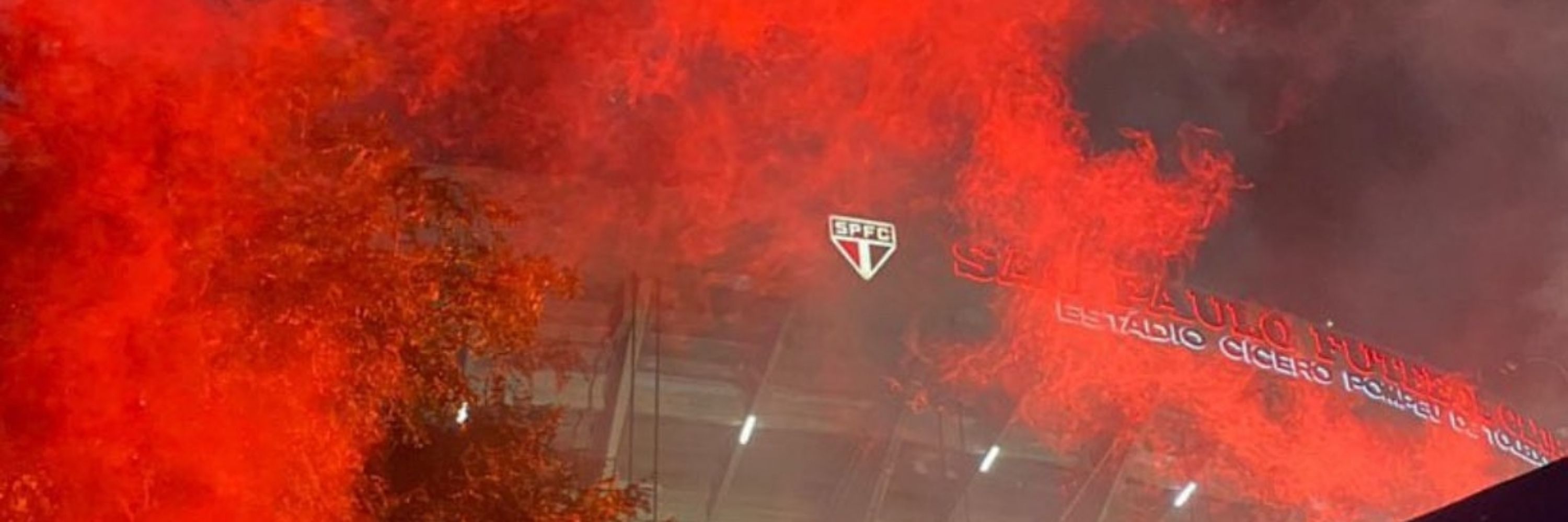 Alice Oliveira ˢᵖᶠᶜ 🇾🇪