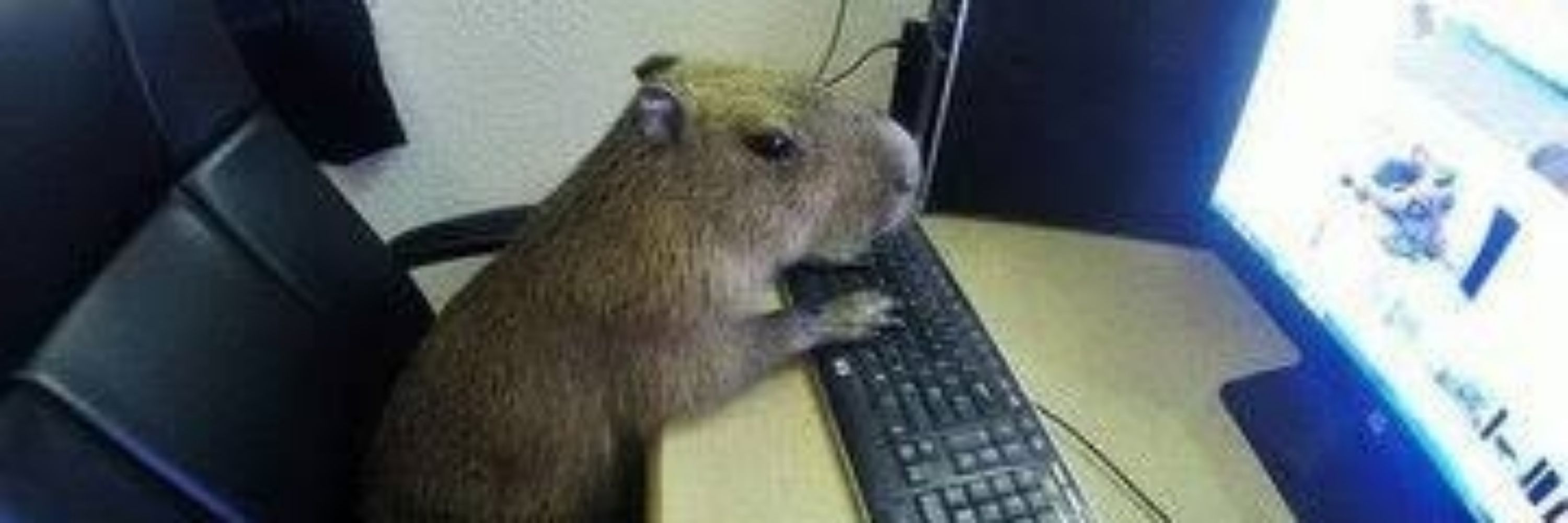 Natflix