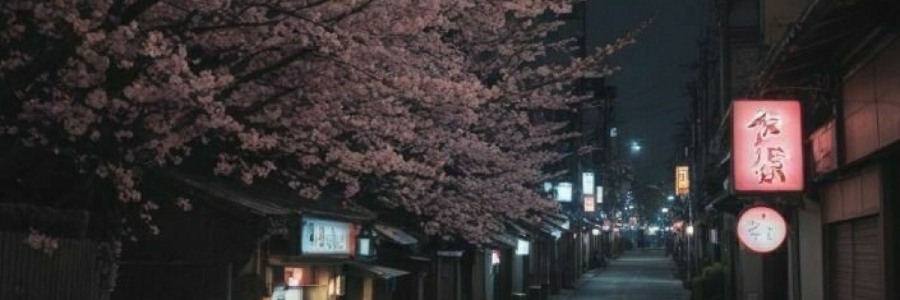 🦊Kαιƚҽ Gαʋιɳα_VA🌸
