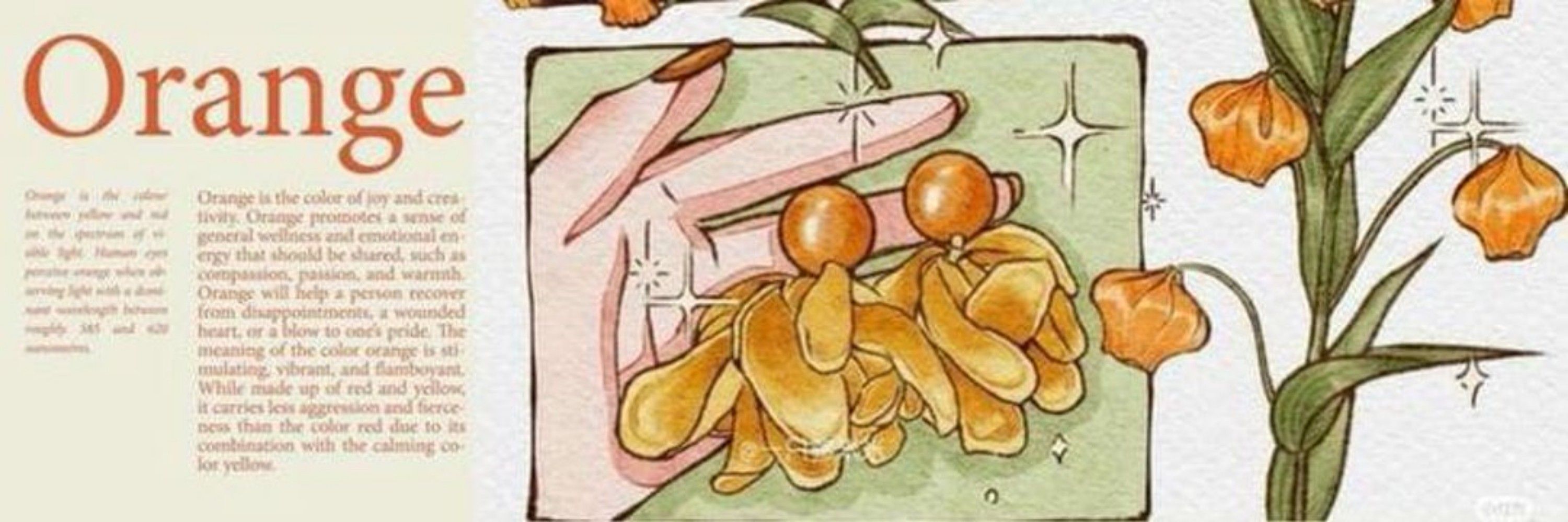 bagi