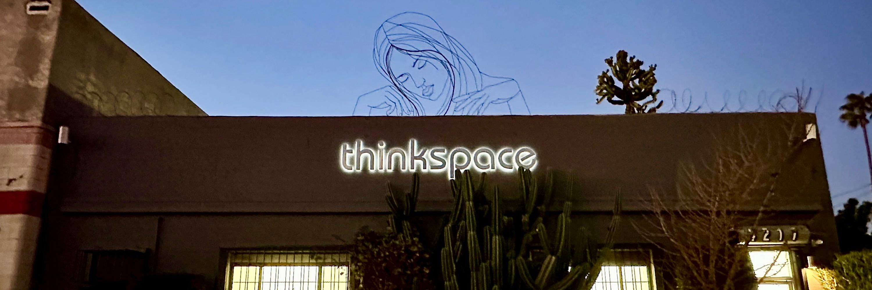 Thinkspace Projects