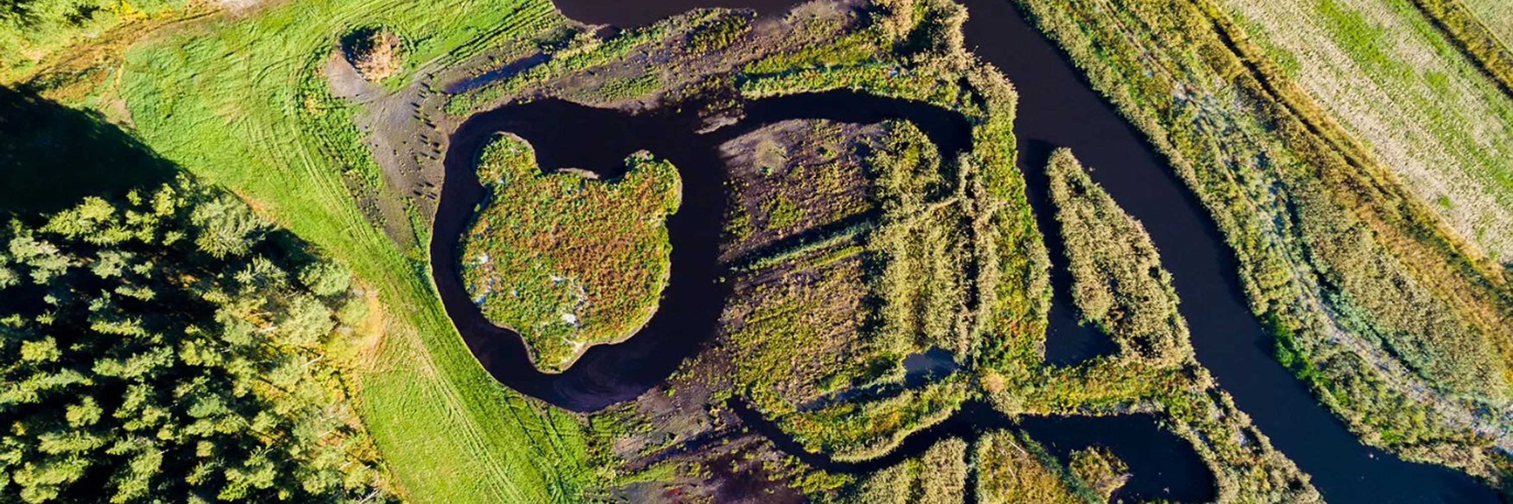 WWF Baltic Sea Programme