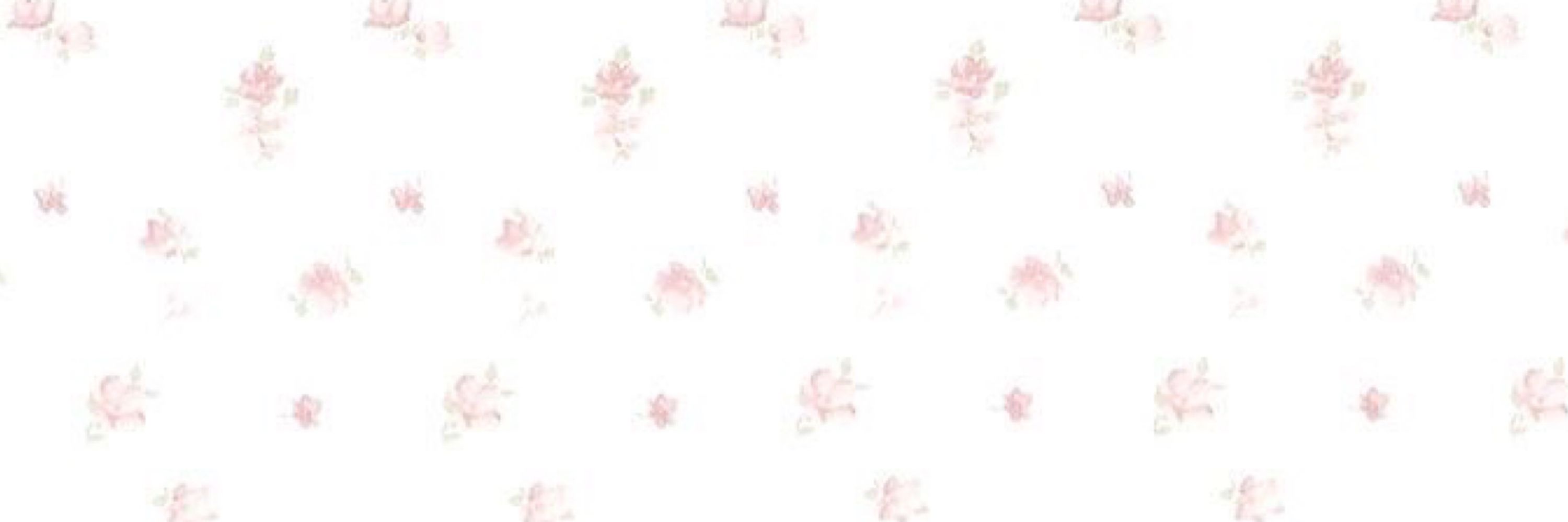 Bibx ✽