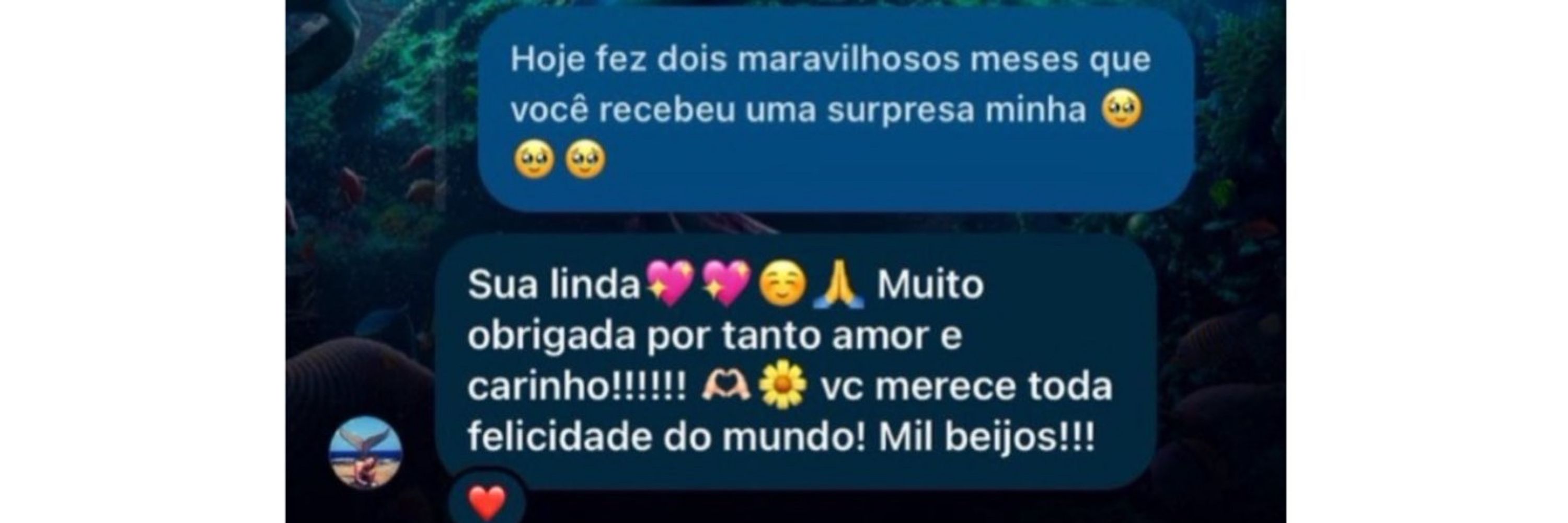 helo VAI VER O BRUNINHO; 🍕🦋
