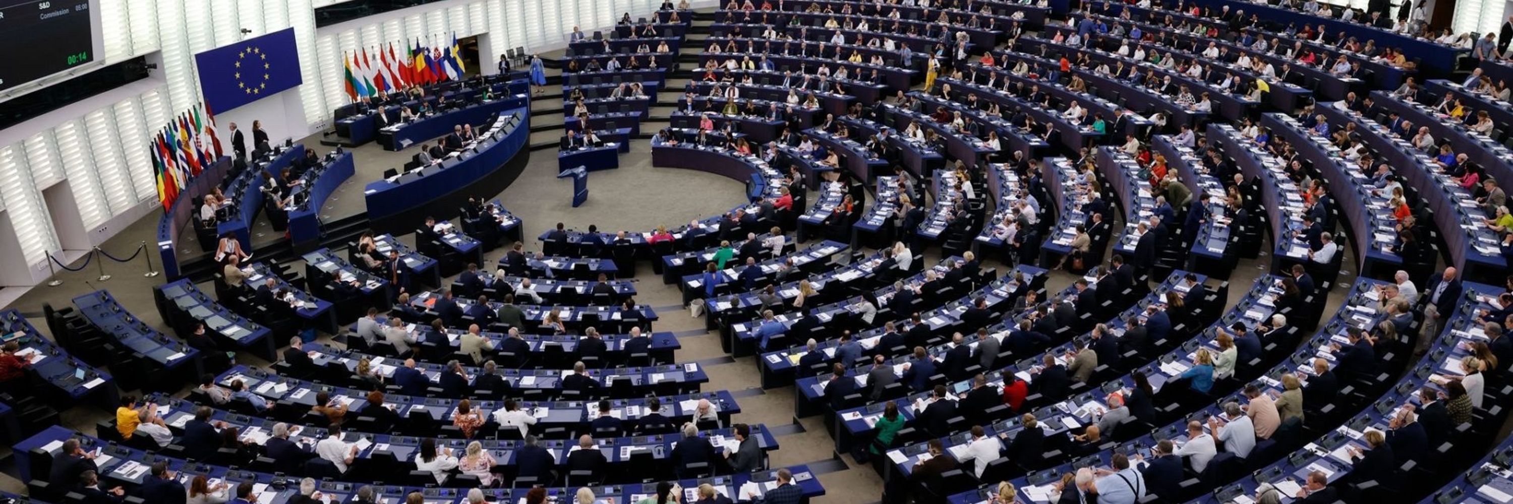 European Parliament Labeler