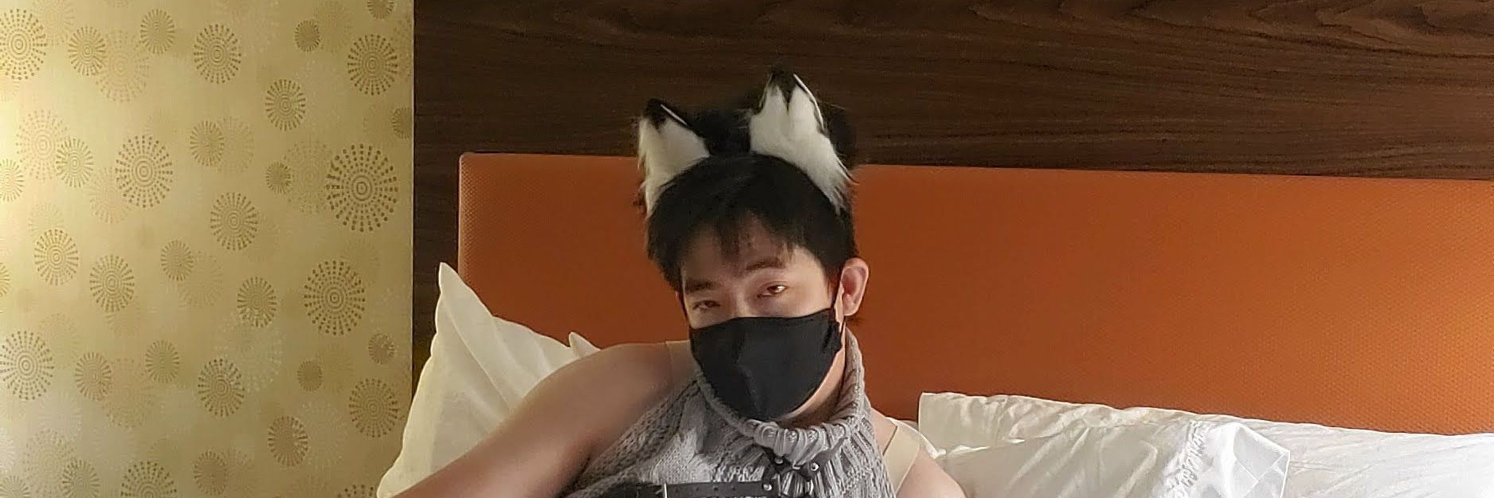 The Shiny Panda