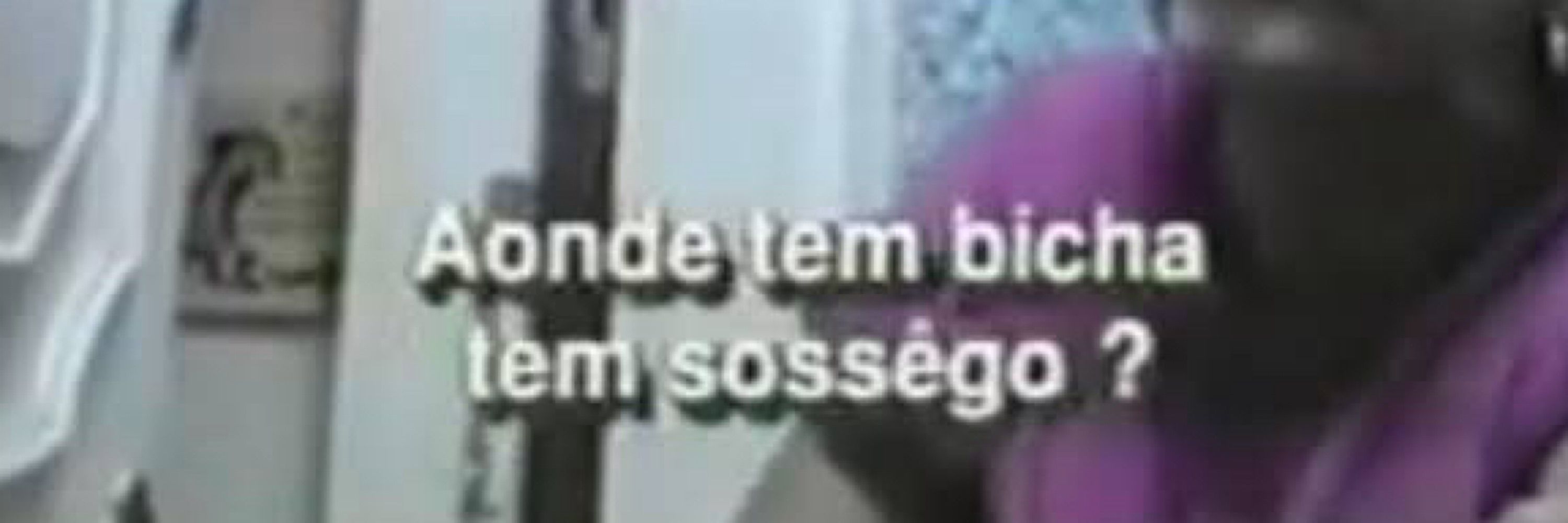 léo