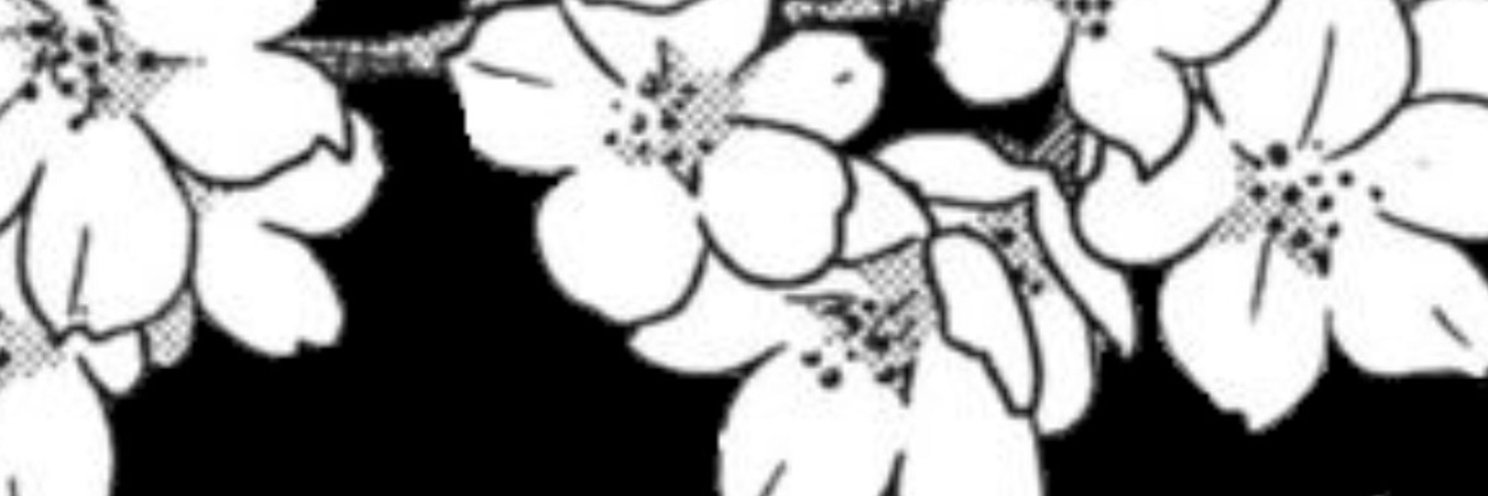 fatally flawed friend