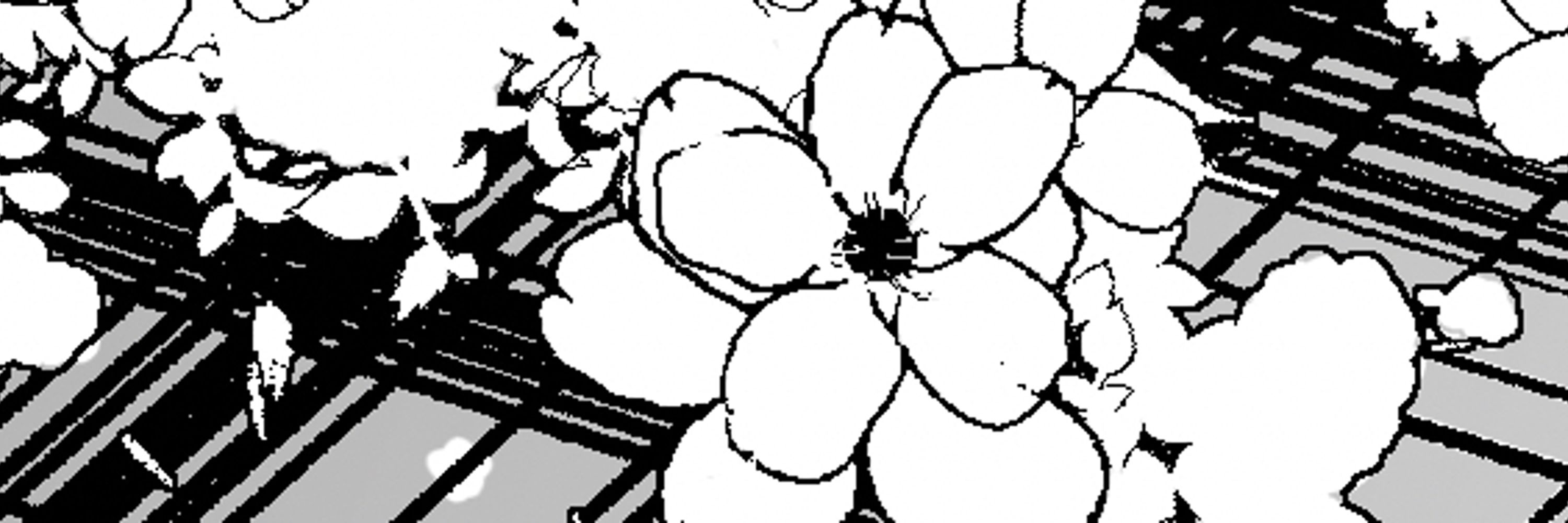⚢ 𝐋𝐄𝐘