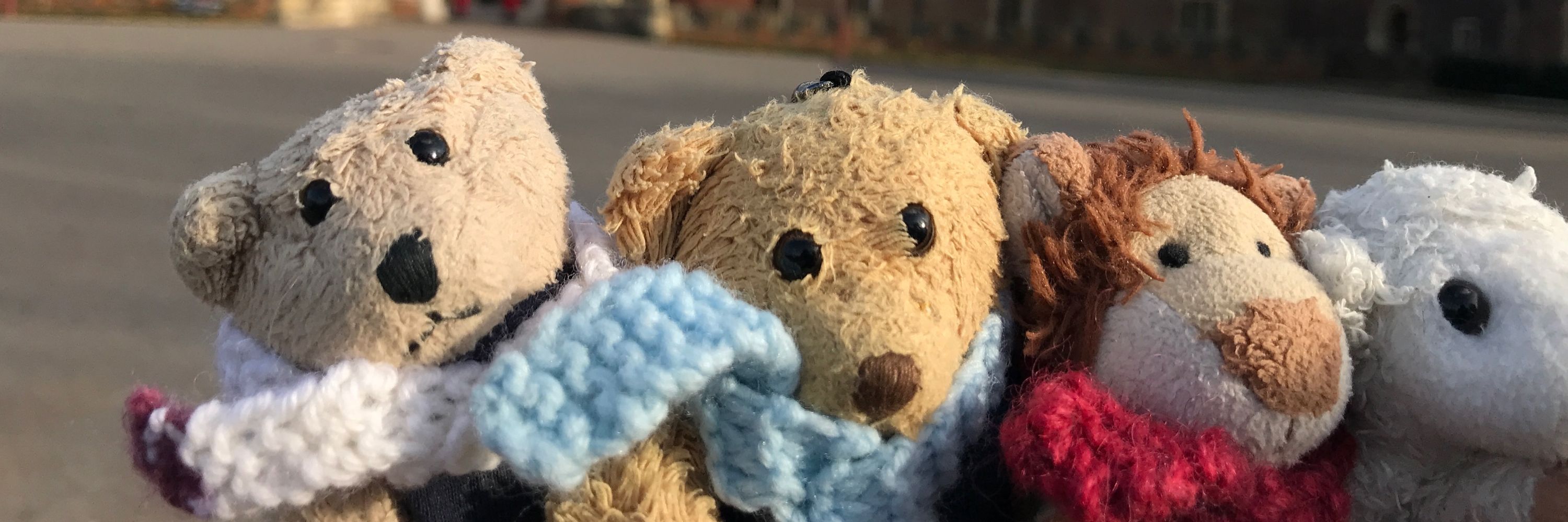 Mr FH Bear