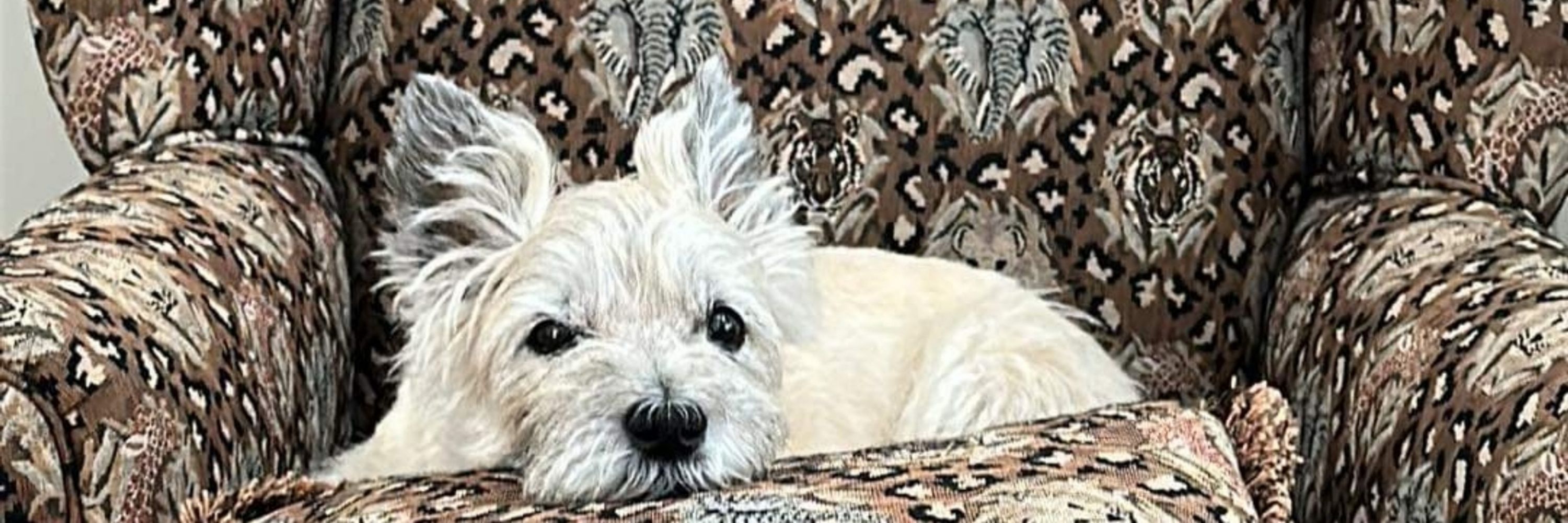 Ricku
