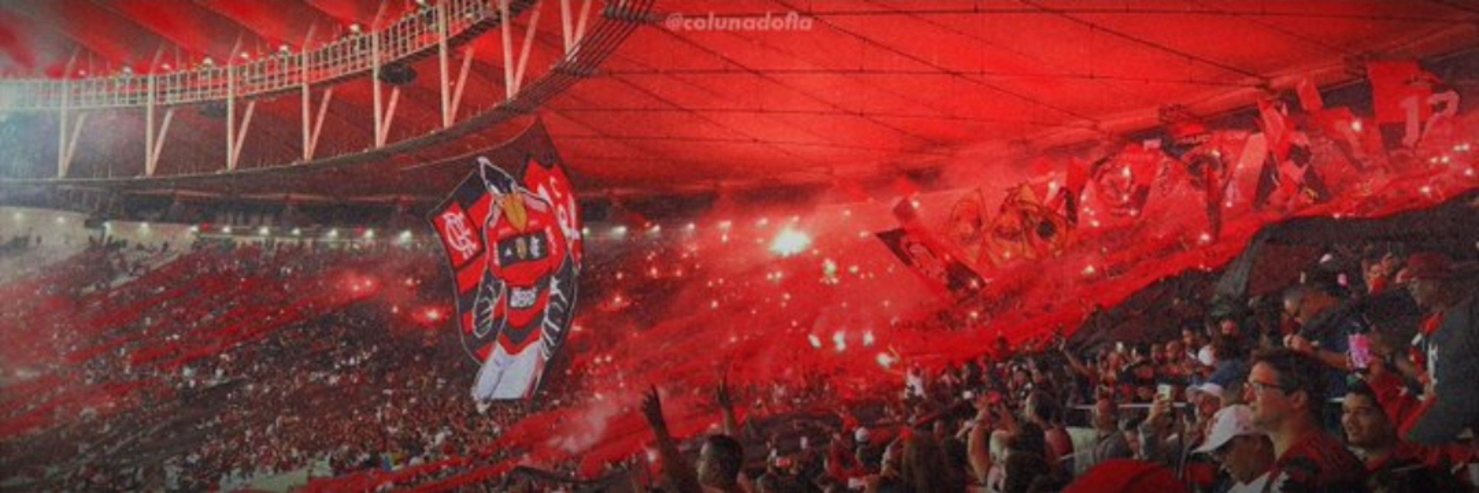 Diogoᶜʳᶠ 🇦🇴