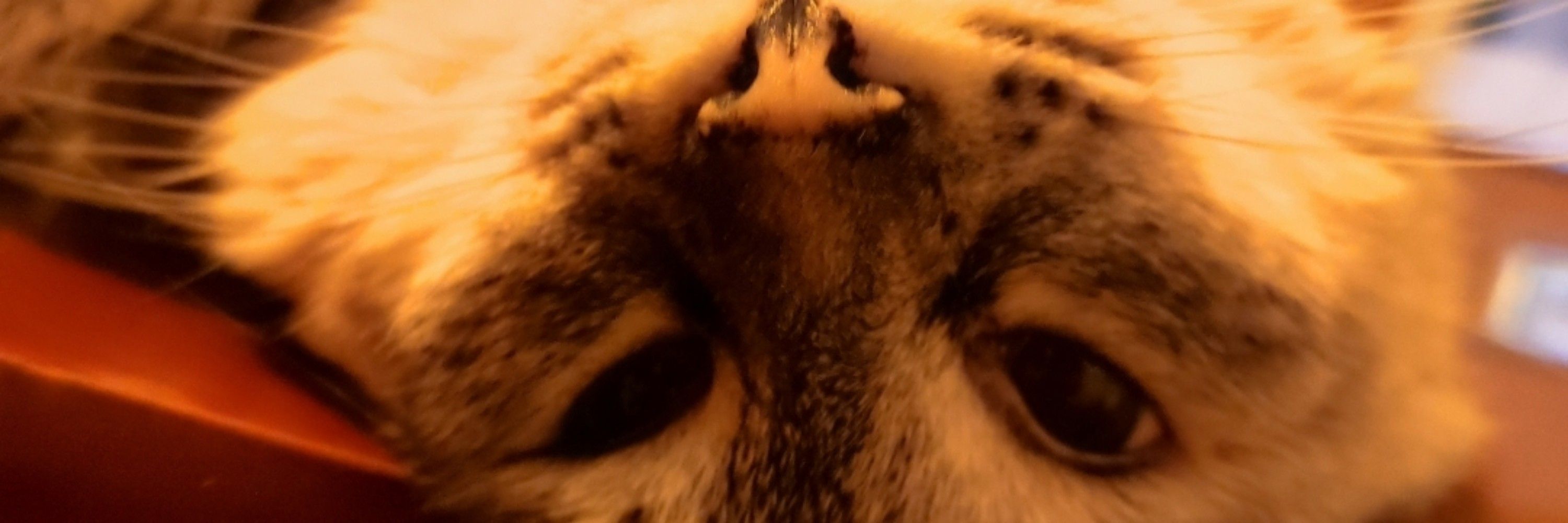Kür