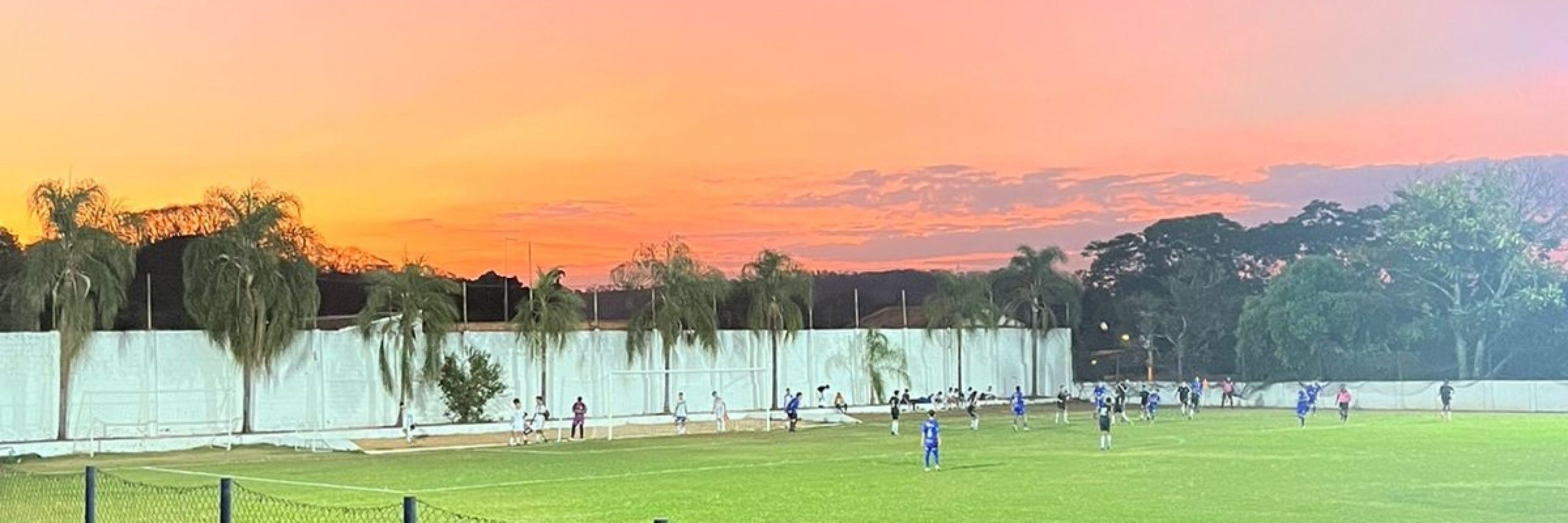 Garça 🕊️